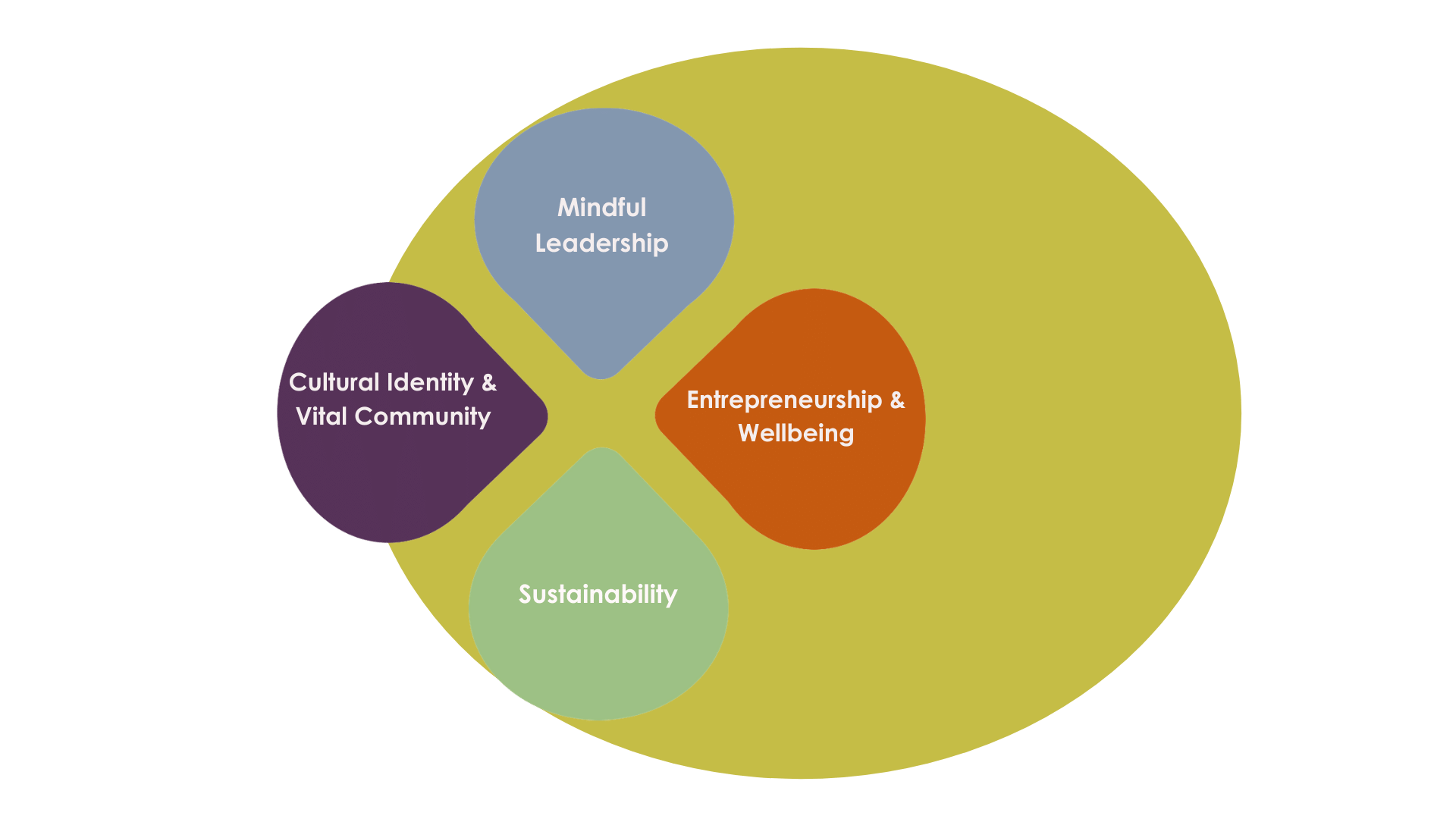 4 central values determin my values compass 1. Mindful Leadership 2. Entrepreneurship & Wellbeing 3. Sustainability 4. Vital Community