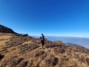 Tashi runs above the tree line on a mountain pasture against the backdrop of a steel blue sky with snow peaks in the background